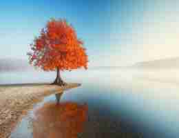 网﻿站﻿访​问‍慢‌ 是﻿什﻿么​原‌因‌导﻿致​的﻿